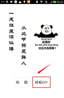 荷兰女排8月到深圳参加女排精英赛